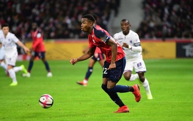 引援名单里 引援名单里