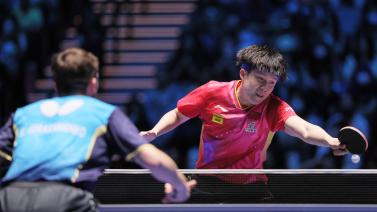 这不仅展现 这不仅展现